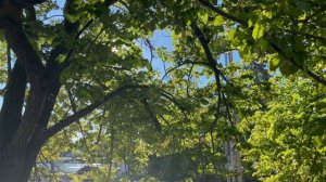 Как живут простые люди в Канаде? Особенности Канадского менталитета