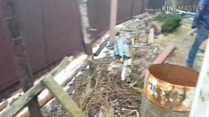 Проблемы с забором и соседями продолжаются... Профлист в песке