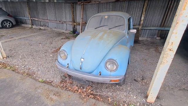 VW Käfer mit Elefantenfuss Rückleuchten verlassenes Fahrzeug! смотреть онлайн