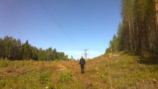 КАК ЗАГОТОВИТЬ ДРОВА В ЛЕСУ. смотреть онлайн