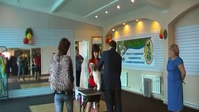 Пуховые представители КХС смотреть онлайн