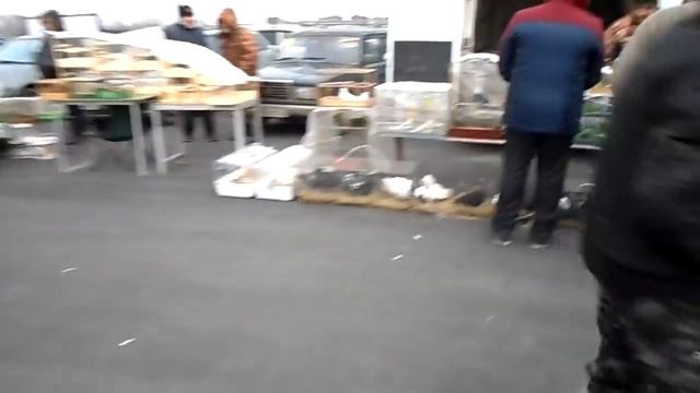 Выставка в Ростове 3.03.19г. смотреть онлайн