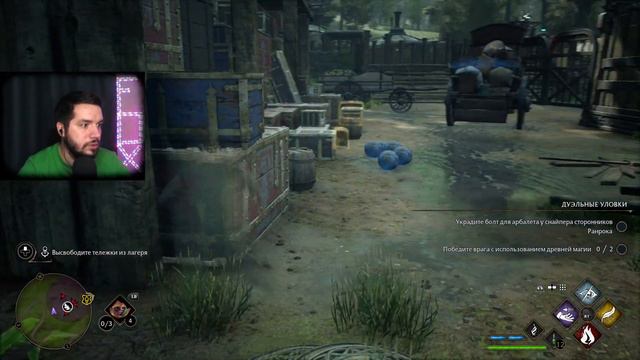 Решаем загадки попутно встретив бешеных топероек и пауков ♦ Hogwarts Legacy #13 смотреть онлайн