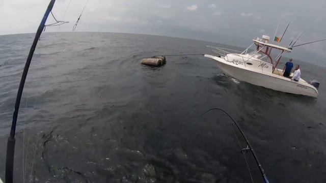 Offshore Fishing 2 смотреть онлайн