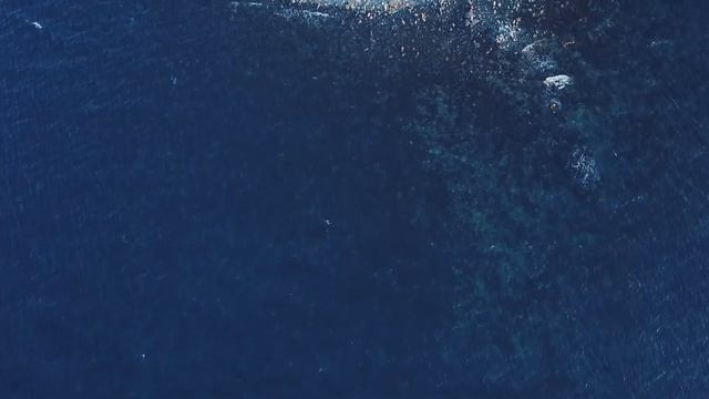 Большой Утриш | Анапа | 2021 смотреть онлайн