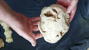 Сувель-кап клена под моим окном. 21.08.2022