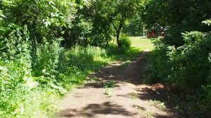 Уфа. Парк Баланово. Уфа, лето 2022г.