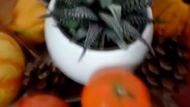 Autumn Decoration and Foot Natural Relaxation?? смотреть онлайн