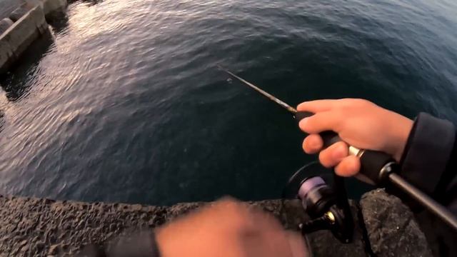 Обзор микроджиговых палок #44 Crazy Fish Arion 742ULS смотреть онлайн