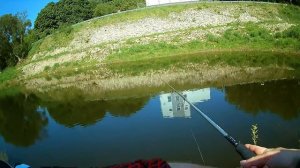 Этот воблер сделал всю рыбалку. Tsuyoki Rival в деле.