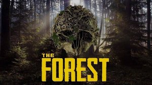 играем в зефорест #1