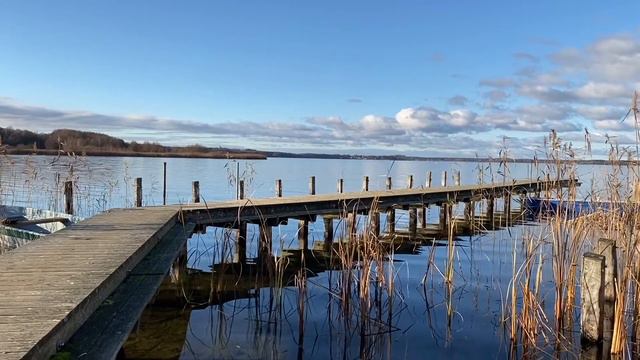 Yamaha Reface DX - Free ambient patch - Before Bed смотреть онлайн