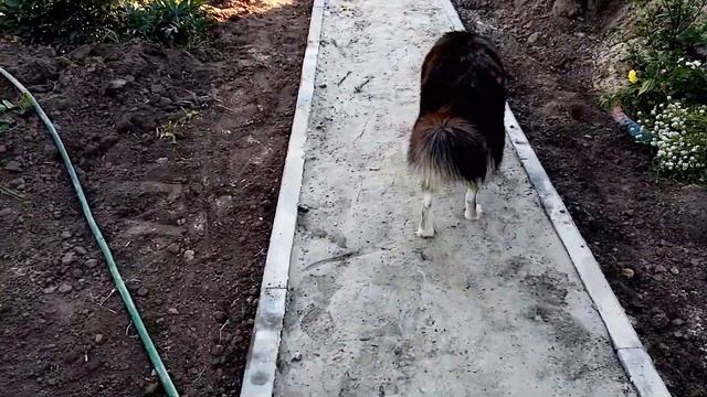 Казарово - район Тюмени, благоустройство двора. #Казарово #благоустройство #укладка плитки смотреть онлайн