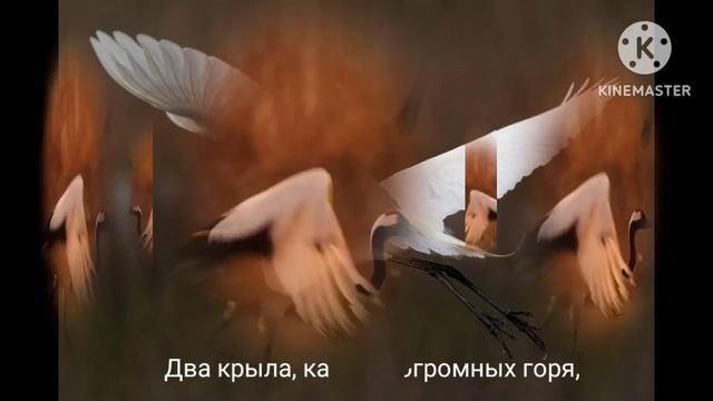 Николай Заболоцкий - "ЖУРАВЛИ", стихотворение смотреть онлайн