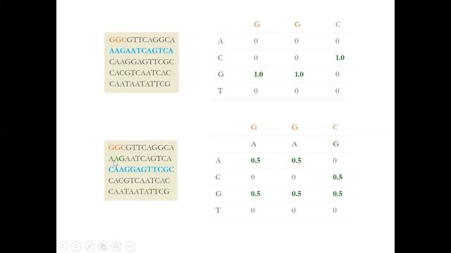 Compute Count(motifs), Profile(motifs), Profile Most Probable K-mer, Greedy Motif Search, Randomize смотреть онлайн