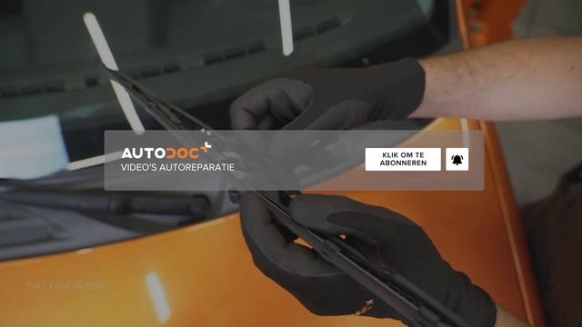 Hoe Een Ruitenwissers Vervangen Op Een FIAT PANDA 2 (169) [HANDLEIDING AUTODOC]