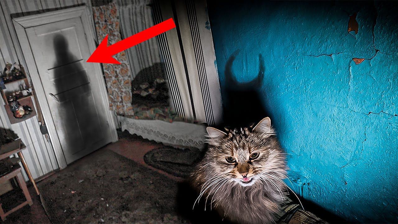 МНОГО ДЕМОНОВ В ЭТОМ ДОМЕ / УСТАНОВИЛ КАМЕРЫ смотреть онлайн