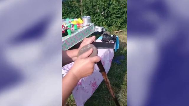 Дача . Грищнеко Виталий. смотреть онлайн