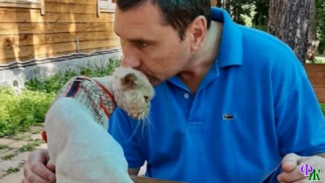 Творчество и Техники