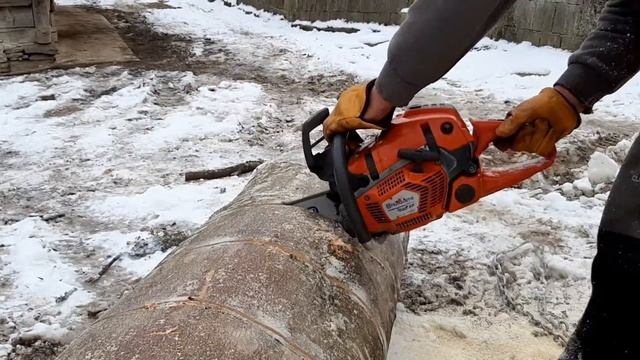 Cut beech logs with HUSQVARNA 560 XP ,the sharp chain & 15 " bar смотреть онлайн
