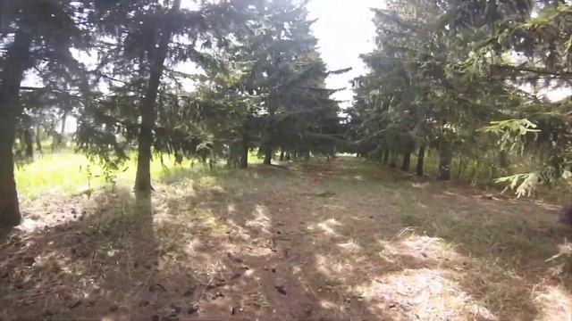Дендрарий Новосибирск / Arboretum Novosibirsk смотреть онлайн