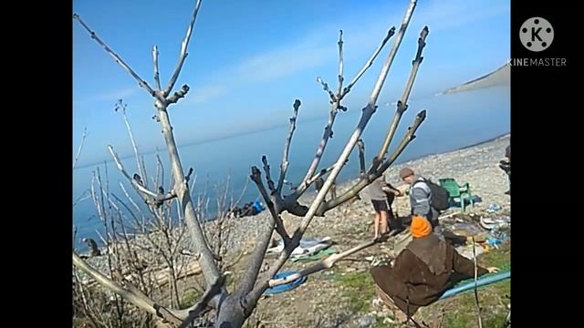 Убираем 1 лагуну. 1апреля 2021.