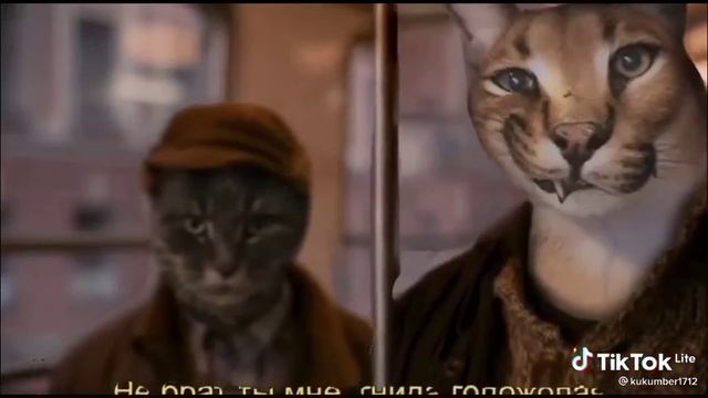 Банда шлёпы смотреть онлайн