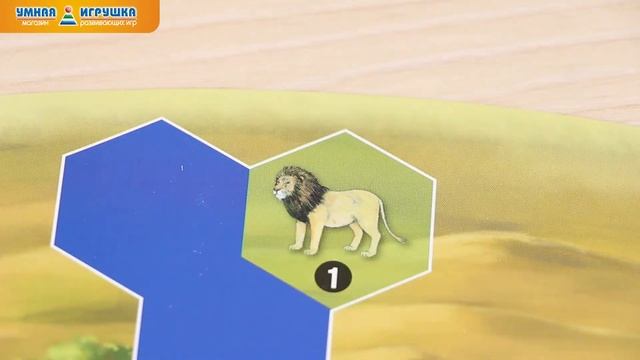 Логическая игра Bondibon (Бондибон) «Фауна» смотреть онлайн