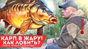 Матерый карпятник рассказал как ловить карпа в жару! Как на что и где ловить карпа летом в жару?