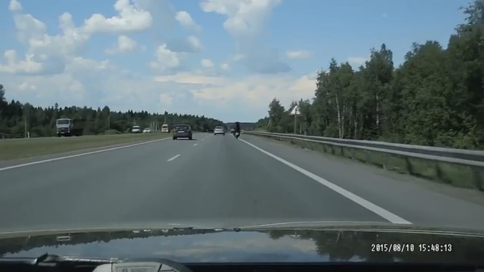 Медведь за рулём! Не показывайте американцам смотреть онлайн