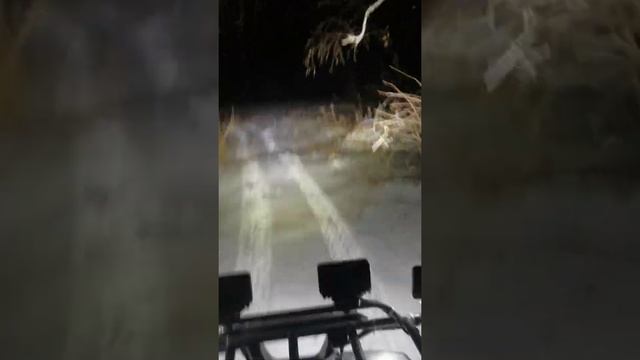 Ночная поездка по лесу, на квадроцикле смотреть онлайн