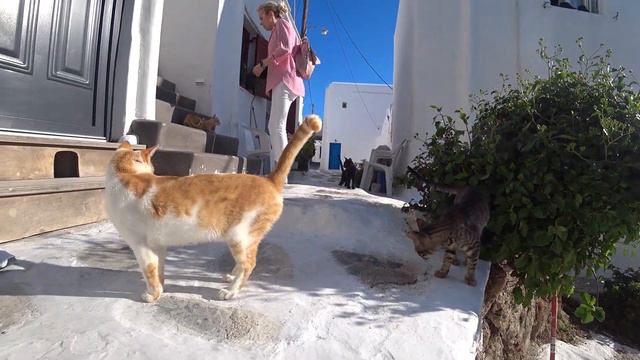 Круиз по средиземному морю 2019 смотреть онлайн