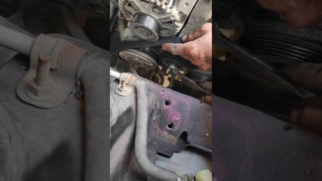 Change alternator belt Fiat linea