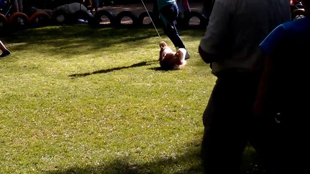 LADY IN RED (Монарх 9.05.12) смотреть онлайн