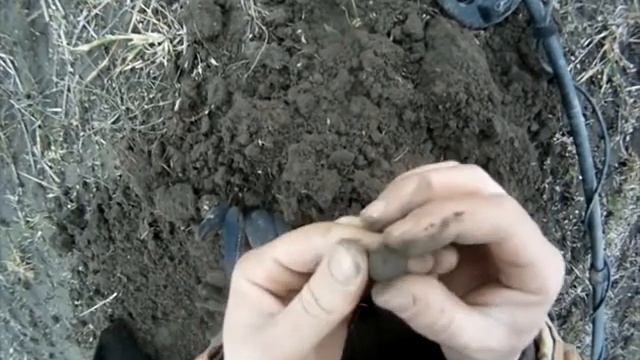 Рівненська обл. коп 51 з Текнетікс т2.Розвідка під питанням. Хрестообразна підвіска КР. смотреть онлайн