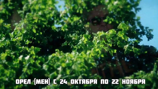 Кто разбогатеет или вообще станет богачом. Древний гороскоп Майи на 2021 год (часть 3) смотреть онлайн