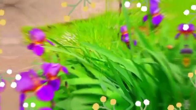 ???Доброго утра благословенного дня!??Красивое музыкальное пожелание доброго утра? смотреть онлайн