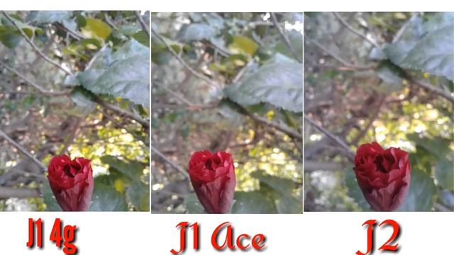 Samsung Galaxy J1 4g Camera Review Vs J2 Vs J1 Ace смотреть онлайн