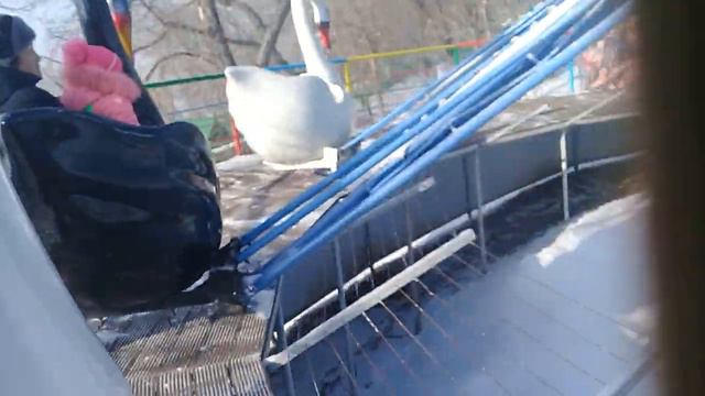 Гуляем на Коктобе в Алматы катаемся на карусели смотреть онлайн