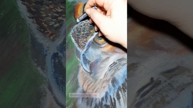 ФИЛИН. Как рисовать масляной пастелью смотреть онлайн