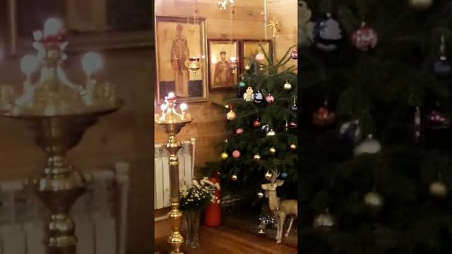 Часть 3. Из Рождественского ПОСЛАНИЯ Патриарха Кирилла смотреть онлайн