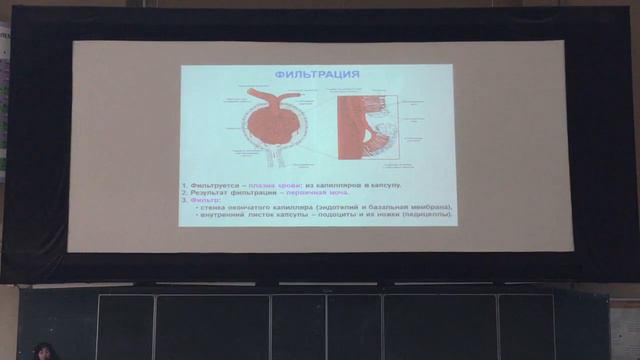Физиология выделения Ч1 смотреть онлайн