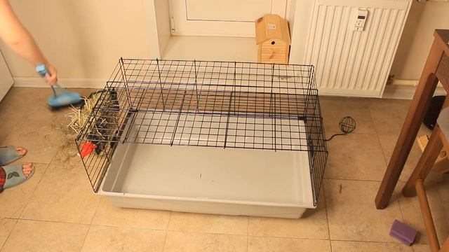 ГЕНЕРАЛЬНАЯ УБОРКА В КЛЕТКЕ У КРОЛИКА / КАК Я УБИРАЮСЬ У СВОЕГО КРОЛИКА? / УБОРКА КЛЕТКИ смотреть онлайн