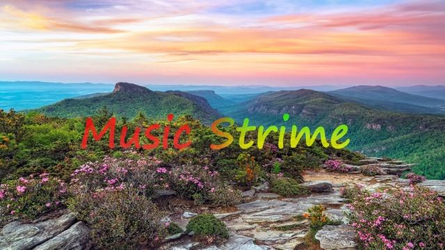 HammAli & Navai - Прятки смотреть онлайн