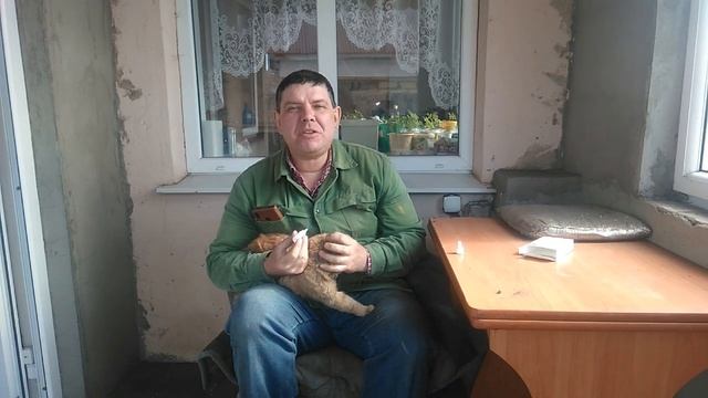 БЛОХ НЕТ!!! смотреть онлайн