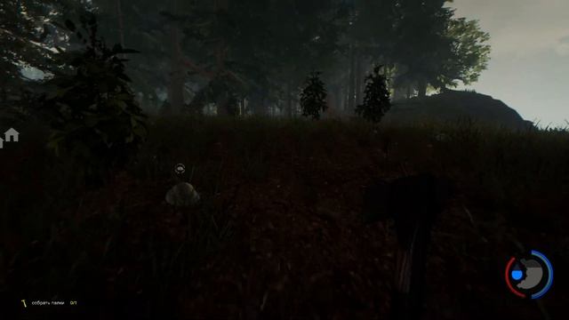 Волшебные руки реставратора