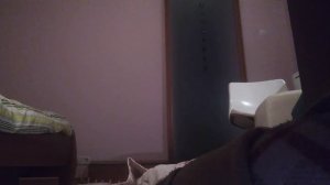 Делаю палатку из пледа! ?