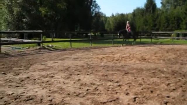 Пикадор.видео август 2011.wmv смотреть онлайн