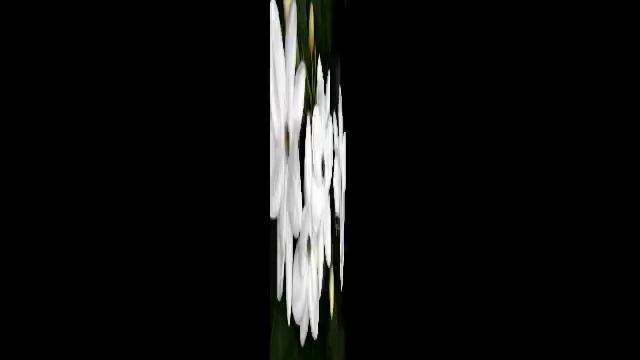 Znaki - Мой любимый цветок смотреть онлайн