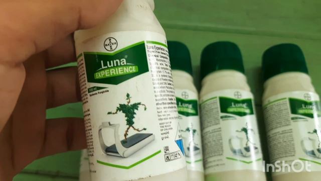 Luna Experience Fungicide Bayer | Fluopyram +tebuconazole | Luna |Systemic Fungicide